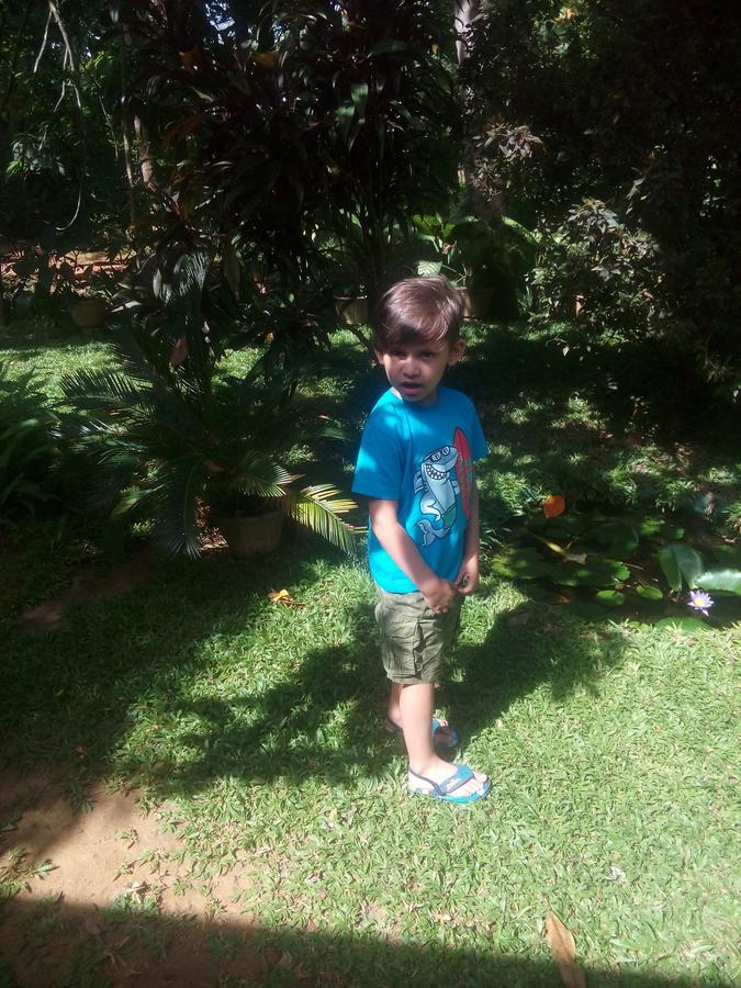 Dambulla Green Villa 外观 照片