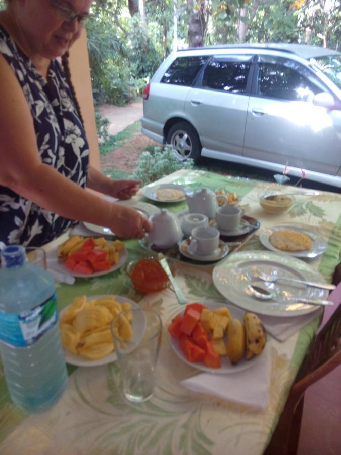 Dambulla Green Villa 外观 照片